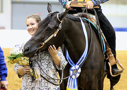 Congress From Home- 2016- A Certain Vino is Victorious in Final Senior Western Pleasure Performance