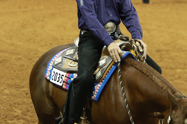 Important Health Protocol Information For AQHA World Show