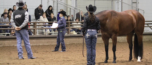 Submit Your Questions For AQHA World Show Ride the Pattern Clinics