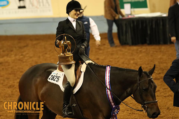 EC TV- 2020 AQHA World- Amateur Equitation AND L2 Horsemanship