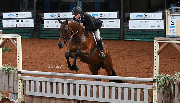 Dancin N The Dirt Crowned 2020 AQHA World Superhorse