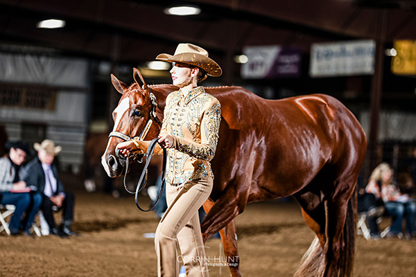 Around the Rings- ILQHA Fall Futurity