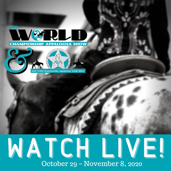 Watch Appaloosa World Show Live Feed