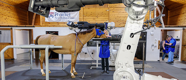 Penn Vet New Bolton Center, MARS Equestrian™ Research Program to Accelerate Advancements in Equine Musculoskeletal Health