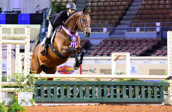 Watch the AQHA Virtual Awards Celebration