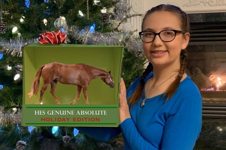 EC Photo of the Day- My Own Breyer Horse