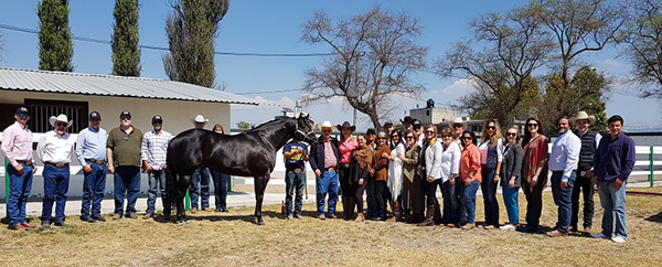 2021 AQHA Virtual Latin American Summit