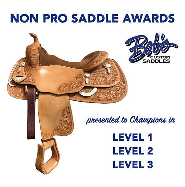 2021 AZ Sun Circuit Non Pro Saddle Award Lineup