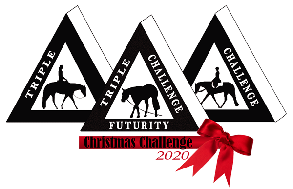 Tom Powers Christmas Challenge Welcomes Competitors to New WEC Ocala Facility