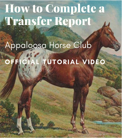 ApHC Registration How-To Videos