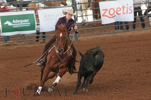 Beginning Jan. 1, 2021, AQHA Shows Must Split Amateur and Youth VRH Classes into Three Subdivisions