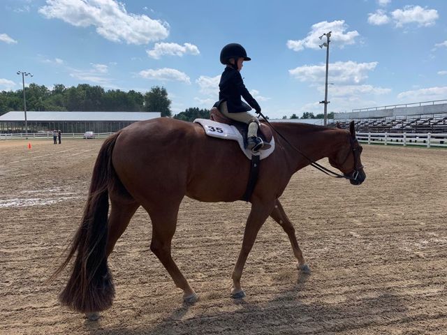 EC Photo of the Day- Teeny, Tiny Equitation Rider