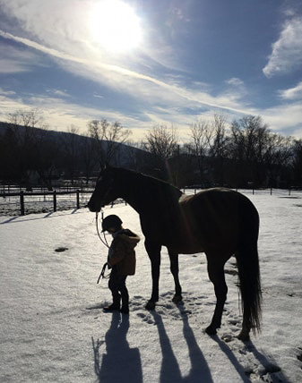 EC Photo of the Day- Winter Ride