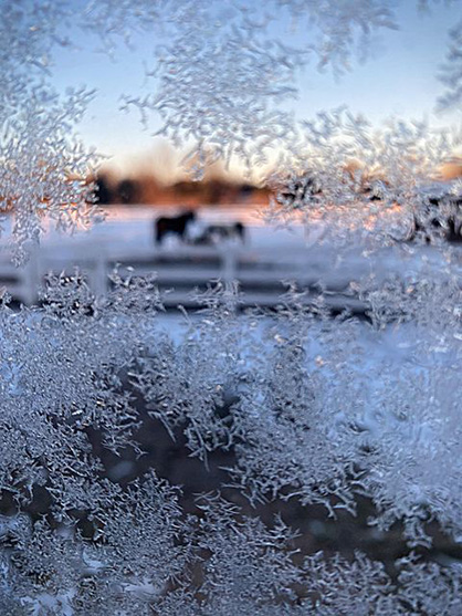 EC Photo of the Day- Snowy Solitude