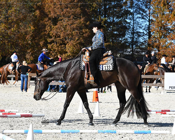 Exhibitors From Across Country Travel to Compete at Record-Breaking FL Gold Coast