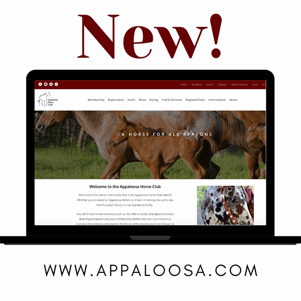 ApHC Unveils New Website Platform