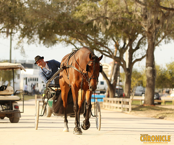 FL Gulf Coast Wraps Up With 12,100+ Entries