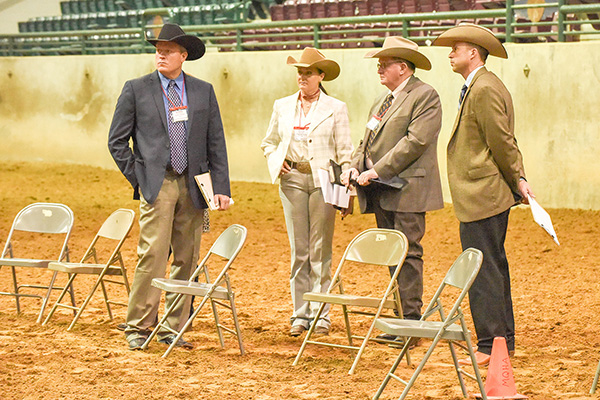 Around the Rings Dixie National EWD Show