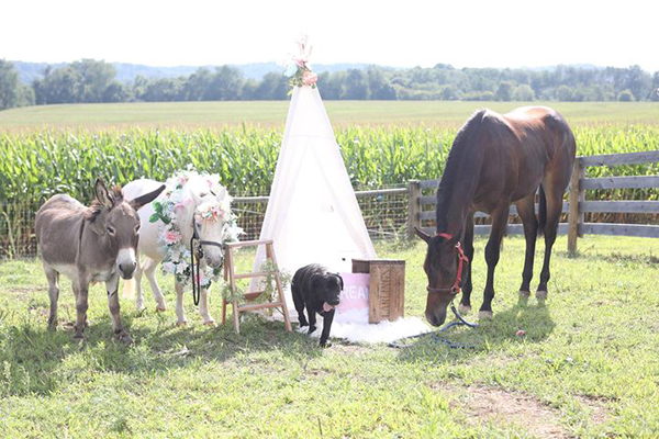 EC Photo of the Day- The Whole Family