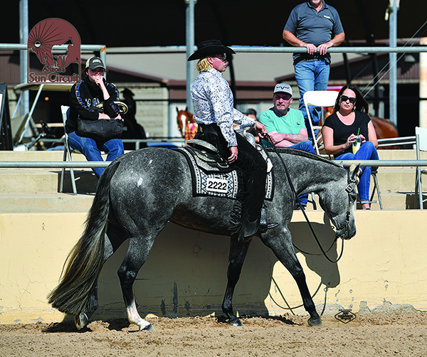 Snap It Send It Named 2020 NSBA Horse of the Year