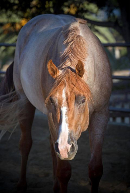 EC Photo of the Day- Into the Light