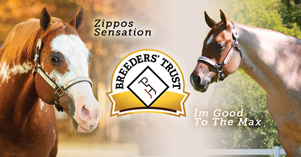 Zippos Sensation and Im Good To The Max Claim Top Earner Spots For 2020 APHA Breeders’ Trust