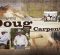 Remembering Doug Carpenter Remembering Doug Carpenter