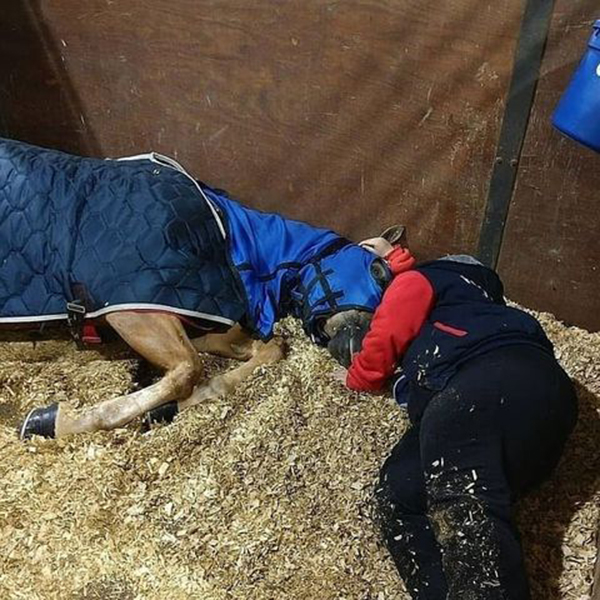 EC Photo of the Day- Horse Show Hangover