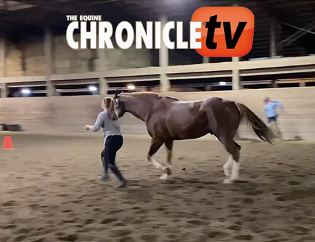 EC TV- Bridleless Showmanship- Kendra Shaw With Red Hot And Soxy