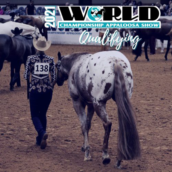 2021 ApHC World Show Waives All Qualifying Requirements