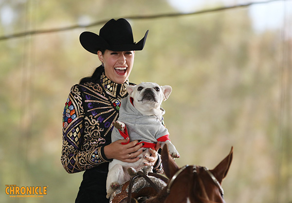 Who Let the Dogs Out? New Classes Coming to a Horse Show Near You!