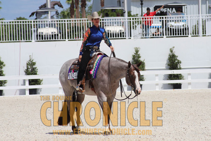 More Around the Ring Photos From Sudden Impulse NSBA Futurity