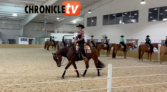 Winning Runs- MQHA Blind Horsemanship