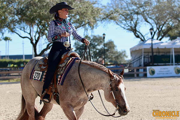 EC Photo of the Day- A Great Horse