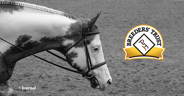 Breeders’ Trust Pleasure Stakes Modifications Announced For 2022 APHA World