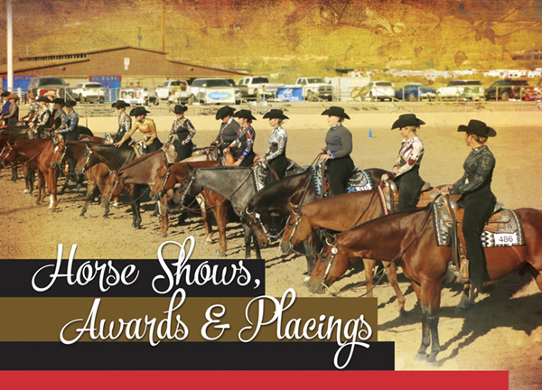 Horse Show Awards Placings – A Delicate Balance Of Recognition