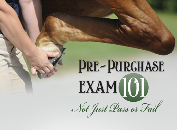 Pre-Purchase Exam 101 – Not Just Pass or Fail