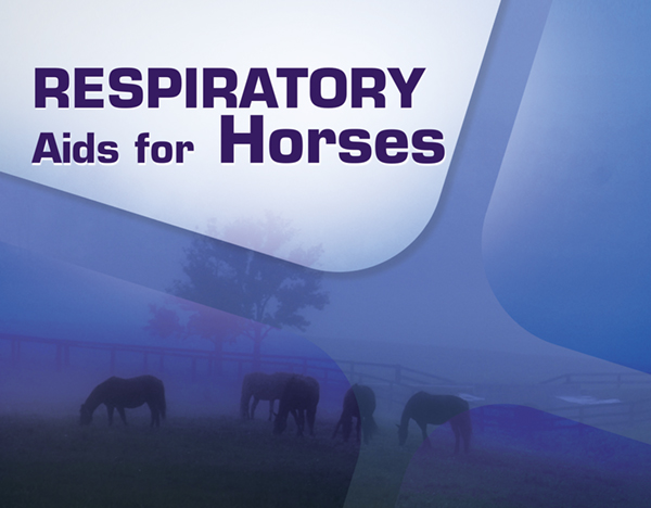 Respiratory Aids for Horses