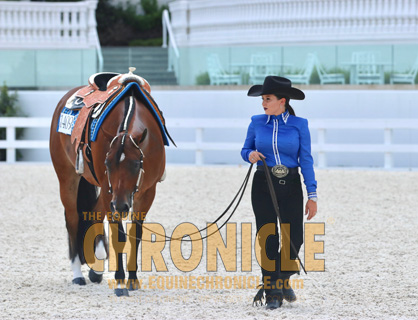 Around the Rings- Sudden Impulse NSBA Futurity- Part 2