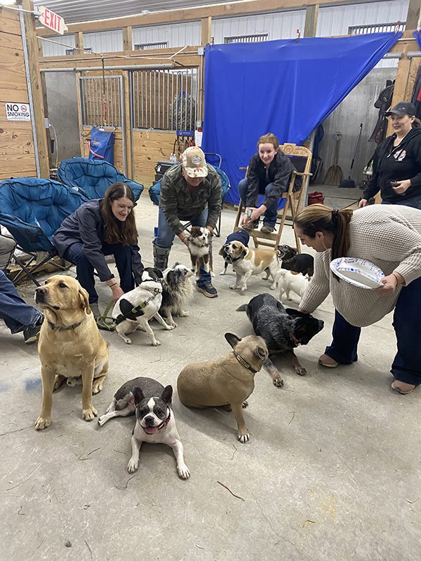 EC Photo of the Day- Dog Party!