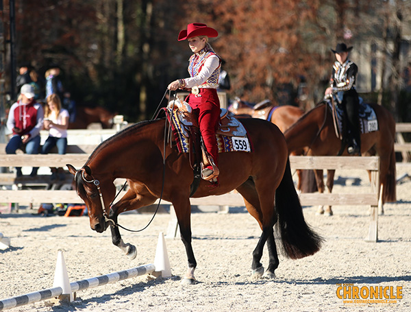 Check Out AQHA Show Rule Changes For 2022