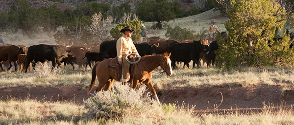 AQHA- Ranch Rule Changes