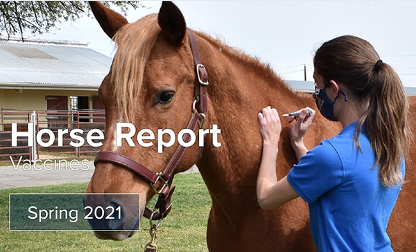 Equine Vaccines Topic of Spring UC Davis Horse Report
