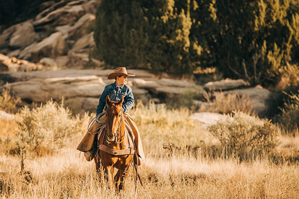 2021 AQHA Standing Committee Reports Available