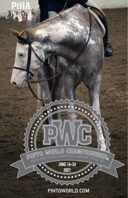 Pattern Book For 2021 PtHA World Show