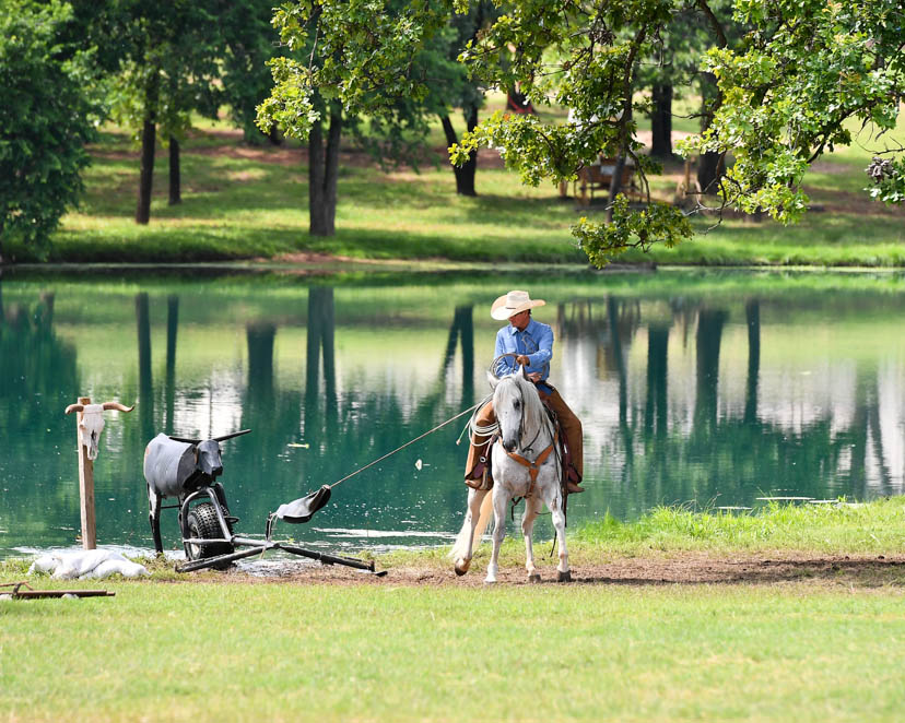 AQHA- Watch Ride the Pattern Clinics