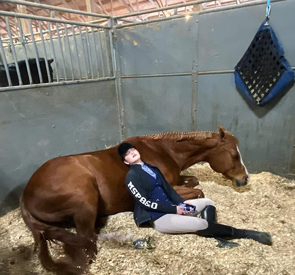 EC Photo of the Day- Horse Show Naps