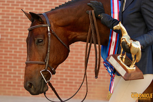 Enter 2021 AQHA Youth World Show