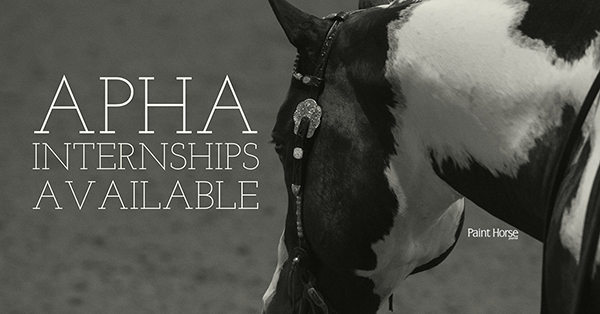 Apply by June 30th For APHA Fall Internship Program