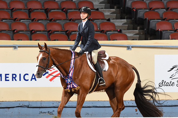 2022 AQHA Leveling Point Ranges